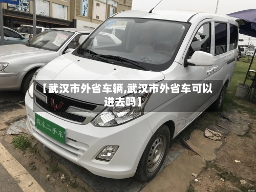 【武汉市外省车辆,武汉市外省车可以进去吗】-第2张图片